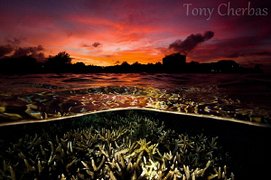 Sunset in Micronesia by Tony Cherbas 